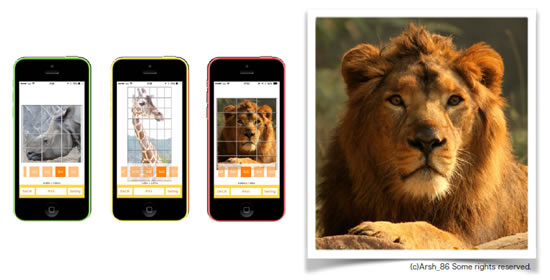 お子さまと「動物の原寸大写真」を一緒に作って、そんな疑問も一緒
に解決しましょう。