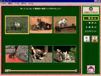 こねこプリント画面